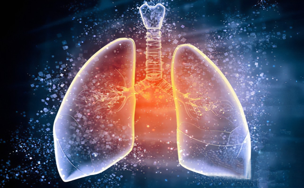 得了肺結(jié)核是全天咳嗽嗎？