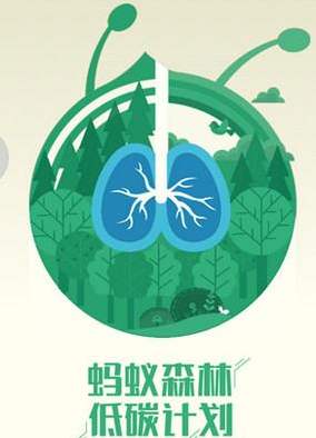 怎樣獲取螞蟻森林能量去種樹，去做公益活動呢？