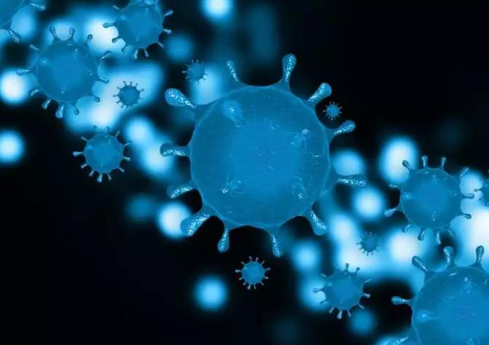 新冠病毒更喜歡脂肪嗎？肥胖人群是不是更容易感染新冠？