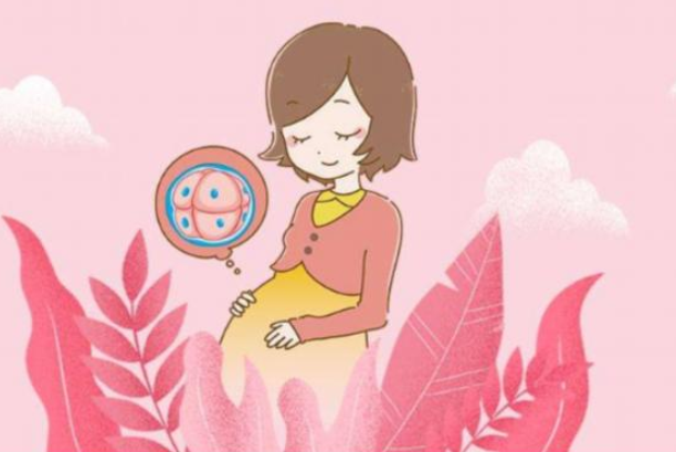 泰國試管嬰兒費用是多少？泰國試管嬰兒成功率高嗎？