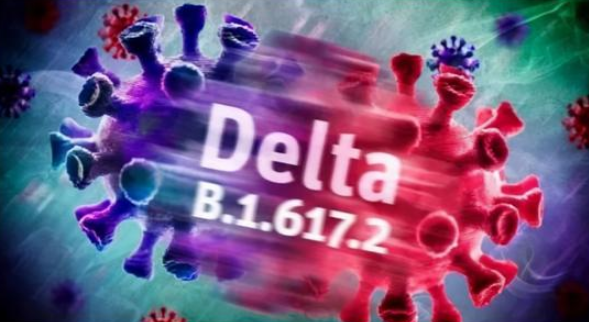南京疫情病毒毒株是德爾塔毒株？德爾塔毒株有哪些特點？