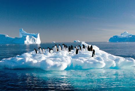 強(qiáng)寒潮是在打臉全球變暖嗎？